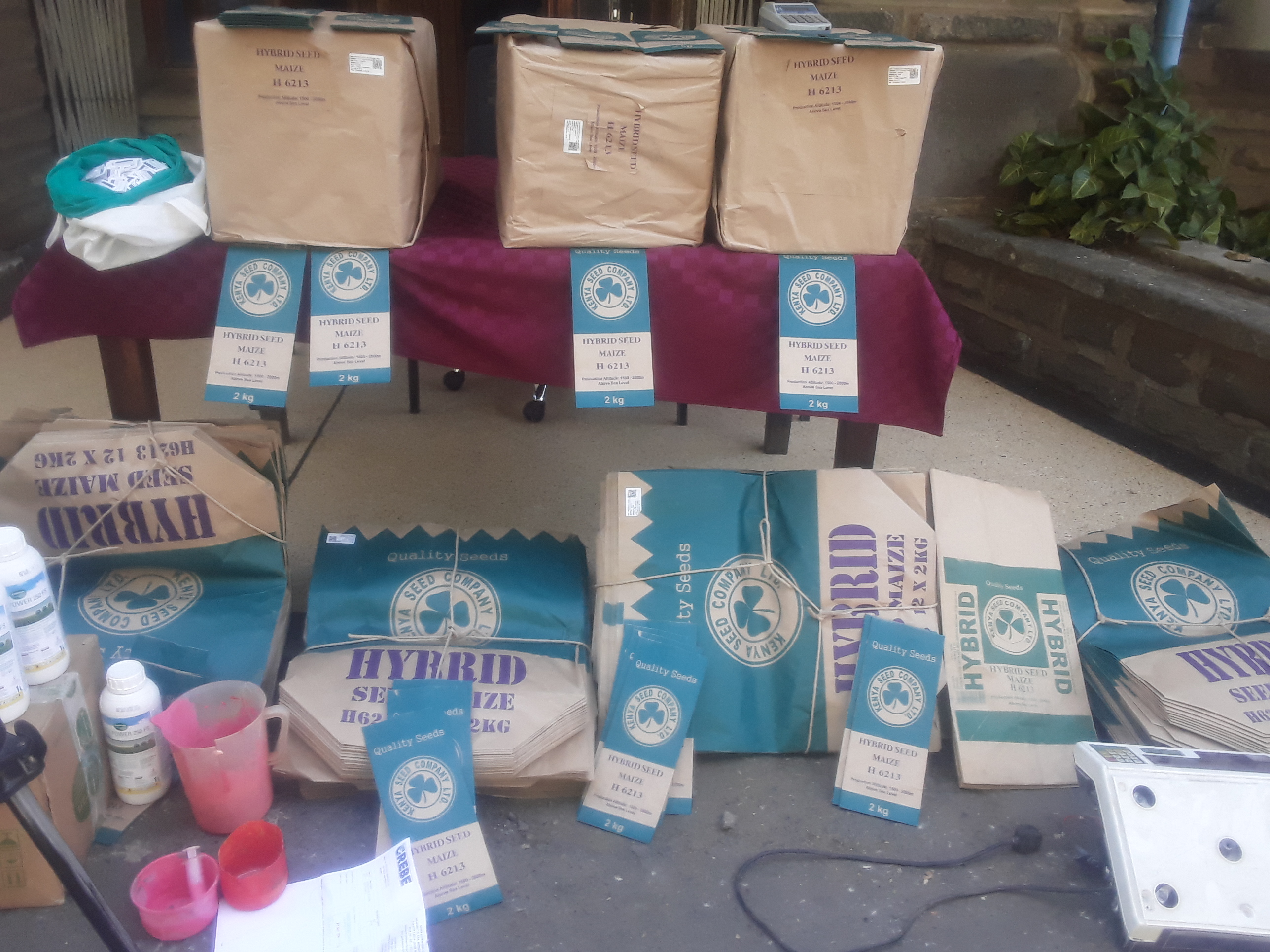 Counterfeit Hybrid Seeds Seized In Nakuru